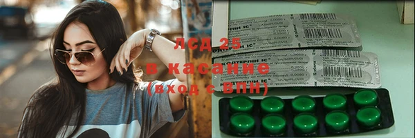 гашик Зеленокумск