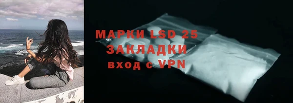 гашик Зеленокумск