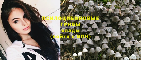 мяу мяу мука Зерноград