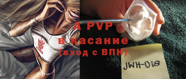 гашик Зеленокумск
