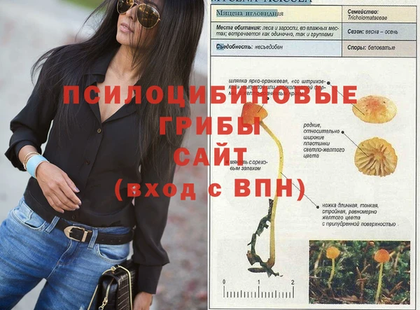 мет Зеленодольск