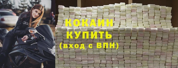 гашик Зеленокумск
