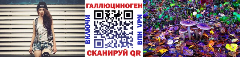 Купить где  Сурск  Галлюциногенные грибы GOLDEN TEACHER 
